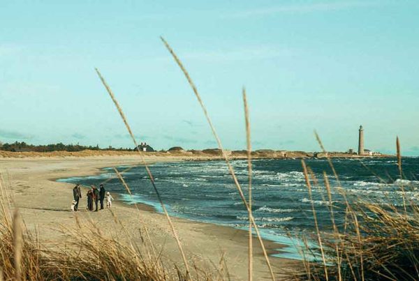 International Family Law - International Families Living in Denmark